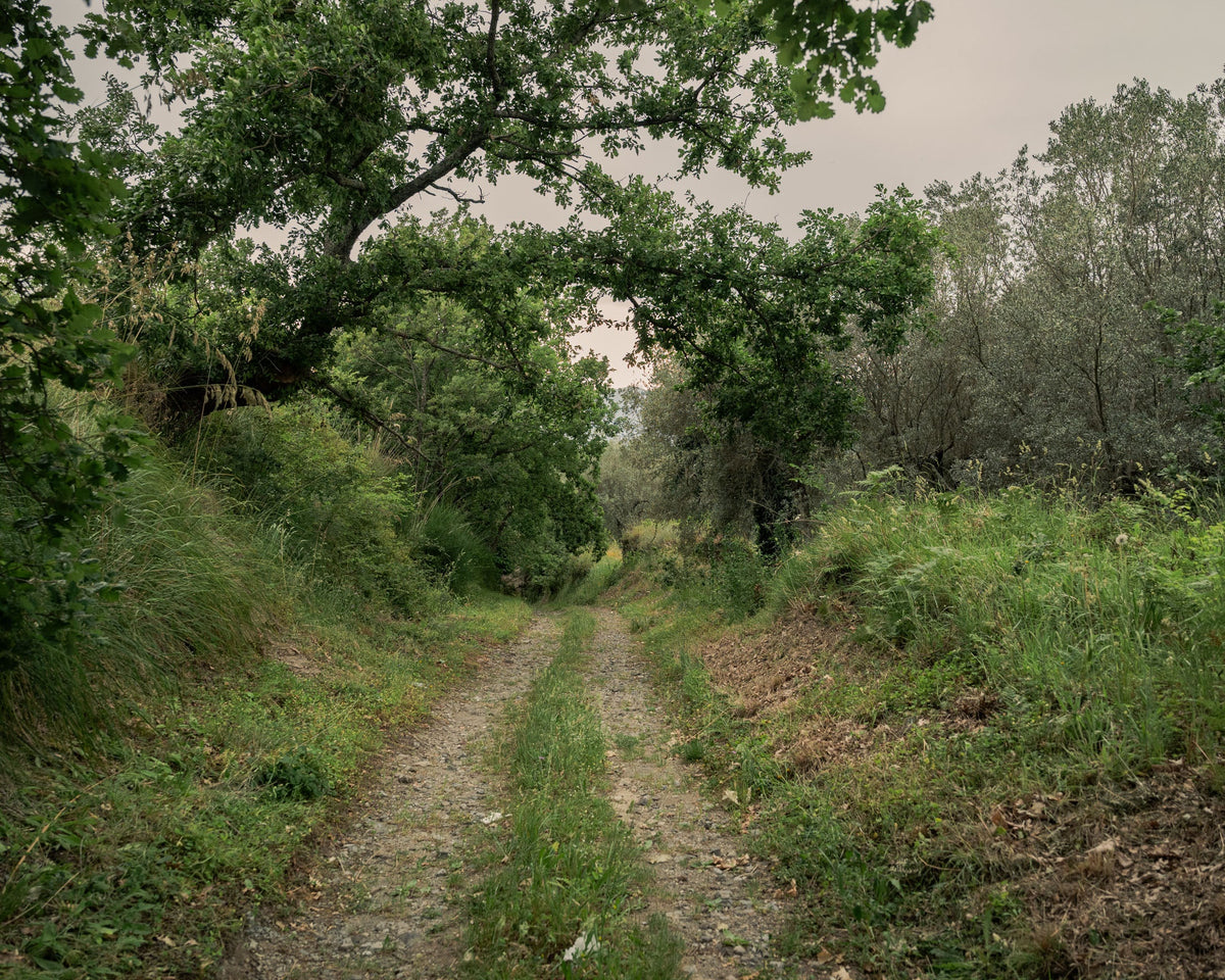 Completi da Caccia